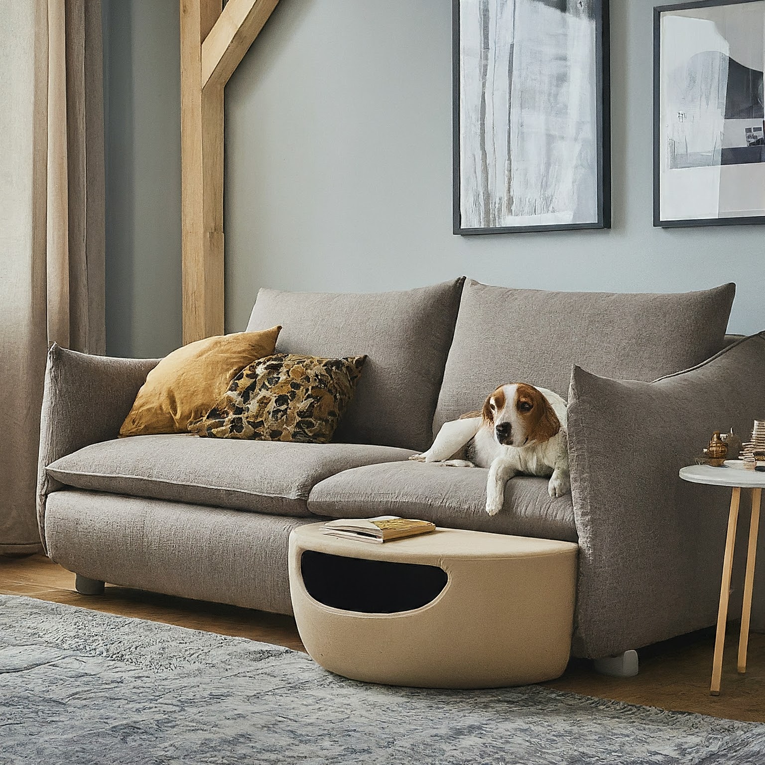 10 Tips for Pet-Friendly Interior Design